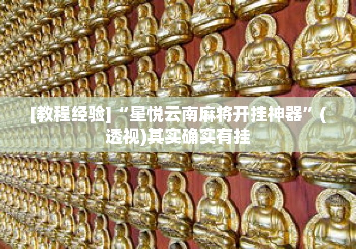 [教程经验]“星悦云南麻将开挂神器”(透视)其实确实有挂