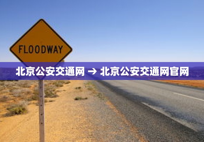 最新一款“微乐四川麻将怎么提高胜率”科技辅助神器手机版