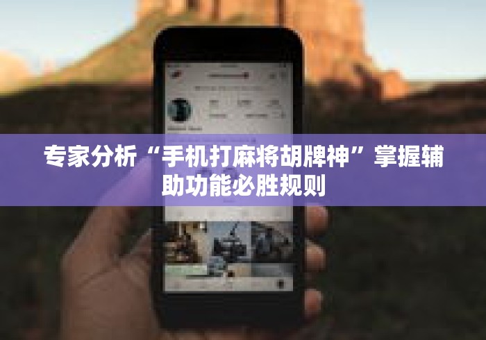 【终于出现】“转转麻将究竟有挂吗”其实有开挂插件!
