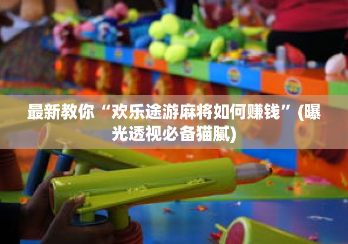 最新教你“欢乐途游麻将如何赚钱”(曝光透视必备猫腻)