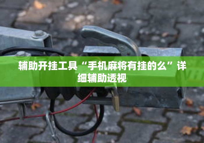辅助开挂工具“手机麻将有挂的么	”详细辅助透视