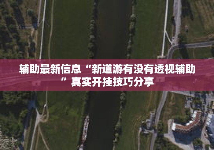 辅助最新信息“新道游有没有透视辅助”真实开挂技巧分享