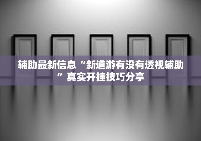 辅助最新信息“新道游有没有透视辅助”真实开挂技巧分享