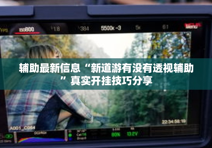 辅助最新信息“新道游有没有透视辅助”真实开挂技巧分享