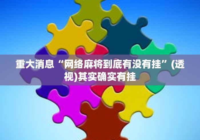 重大消息“网络麻将到底有没有挂	”(透视)其实确实有挂