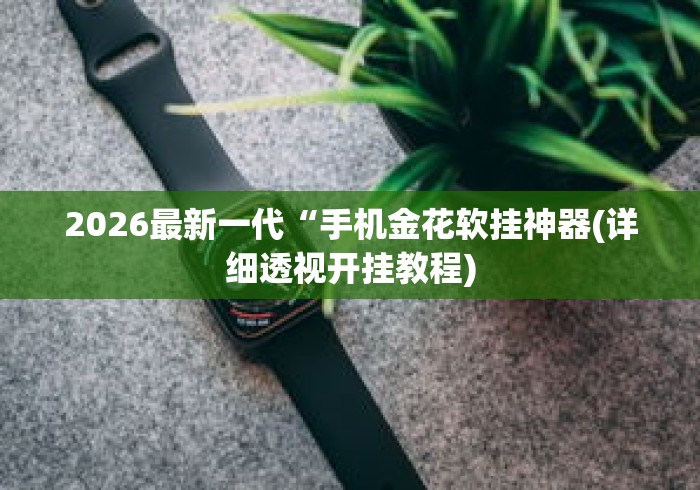2026最新一代“手机金花软挂神器(详细透视开挂教程) 2026最新一代“手机金花软挂神器(详细透视开挂教程)