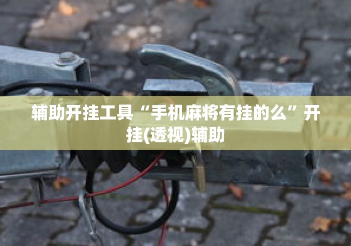 辅助开挂工具“手机麻将有挂的么”开挂(透视)辅助