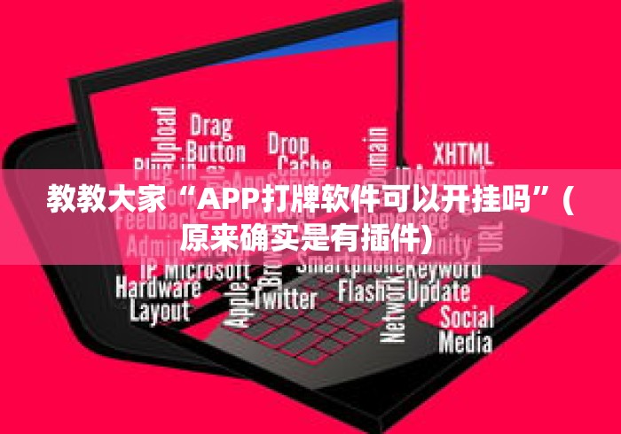 教教大家“APP打牌软件可以开挂吗”(原来确实是有插件) 