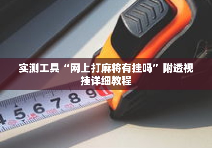 实测工具“网上打麻将有挂吗”附透视挂详细教程