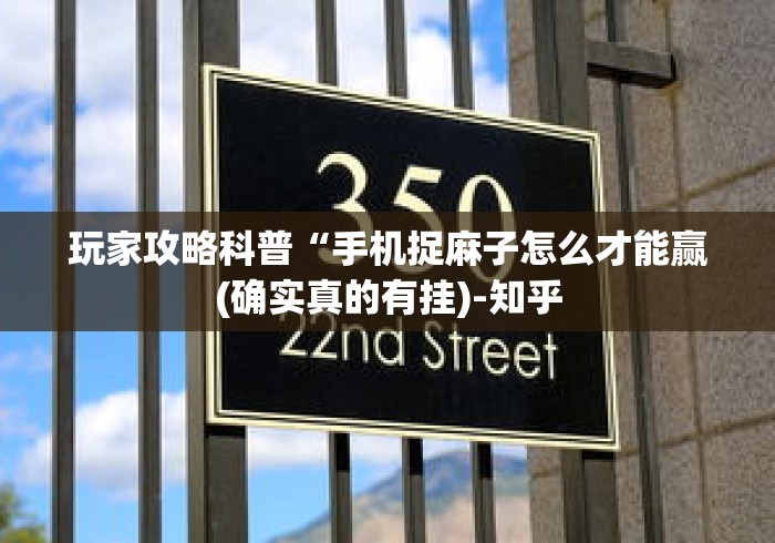 玩家攻略科普“手机捉麻子怎么才能赢(确实真的有挂)-知乎 玩家攻略科普“手机捉麻子怎么才能赢(确实真的有挂)-知乎