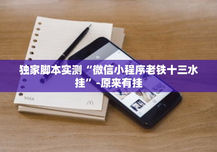 独家脚本实测“微信小程序老铁十三水挂”-原来有挂
