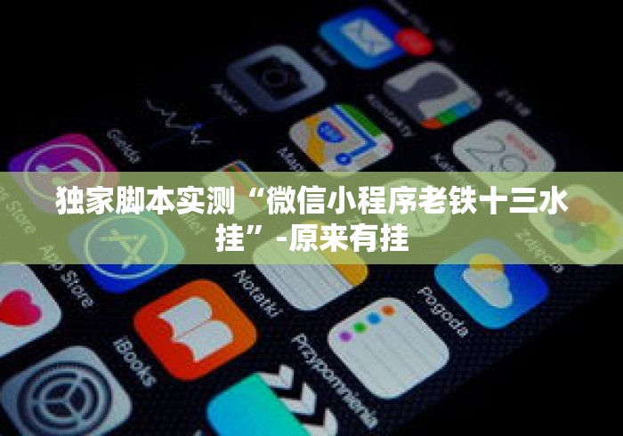 独家脚本实测“微信小程序老铁十三水挂”-原来有挂