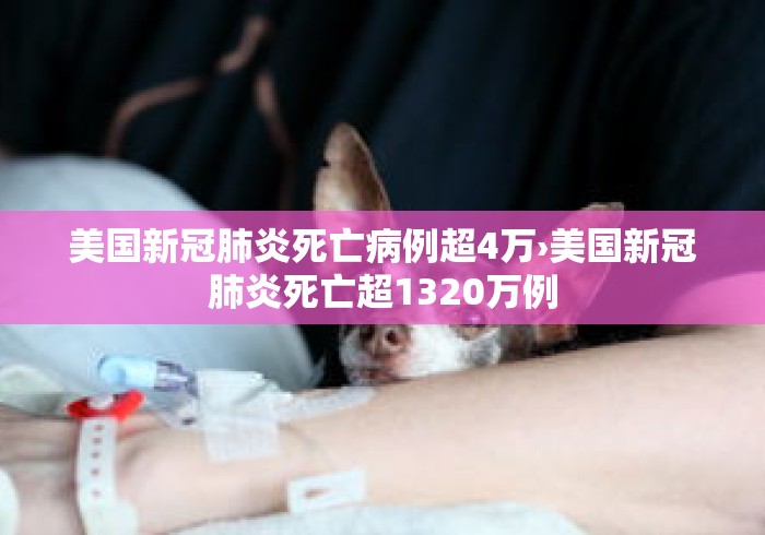 辅助开挂工具“吉祥麻将填大坑开挂神器(真的有挂) 辅助开挂工具“吉祥麻将填大坑开挂神器(真的有挂)