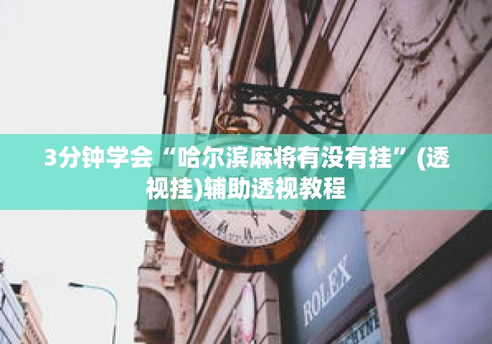 3分钟学会“哈尔滨麻将有没有挂”(透视挂)辅助透视教程