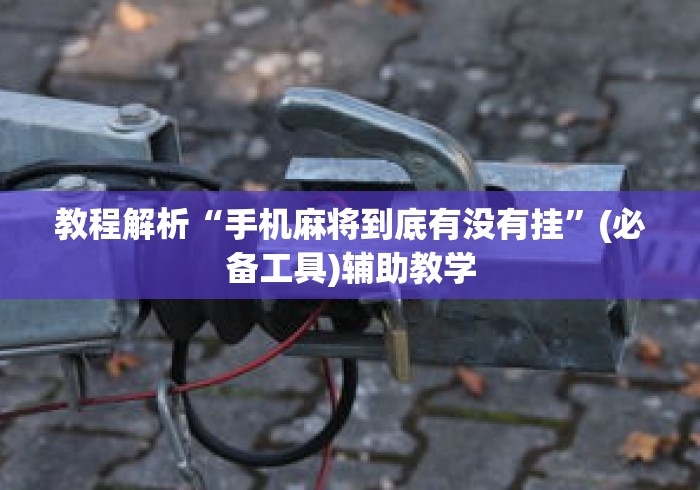 教程解析“手机麻将到底有没有挂”(必备工具)辅助教学