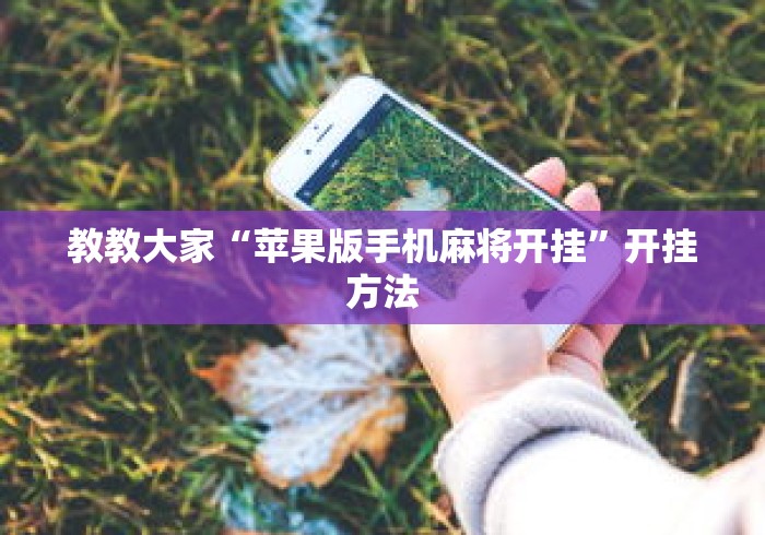 教教大家“苹果版手机麻将开挂”开挂方法